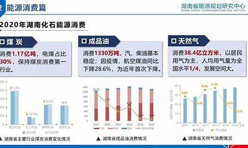 湖南新能源车补贴2020_湖南新能源汽车