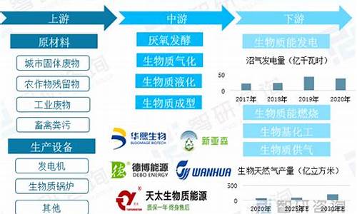 发展生物质能以及相关的新能源汽车产业_发展生物质能的重要性和必要性