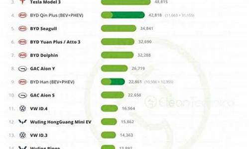 新能源汽车前十名品牌面包车_新能源汽车十大名牌排名及价格电动