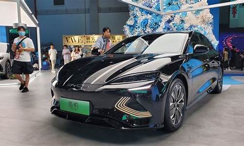 2023新能源汽车品牌排名_2020年新能源汽车品牌